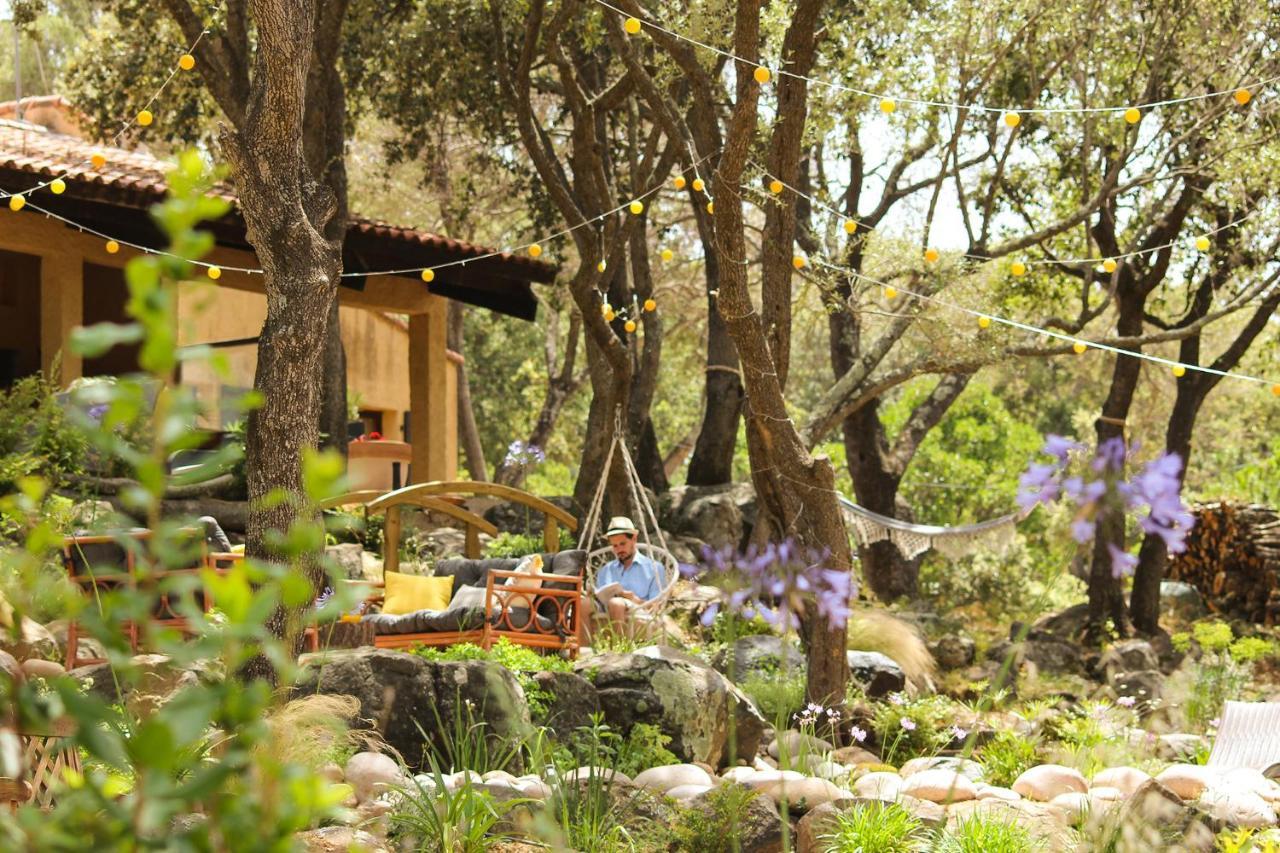 Domaine De La Testa Sainte-Lucie de Porto-Vecchio Dış mekan fotoğraf
