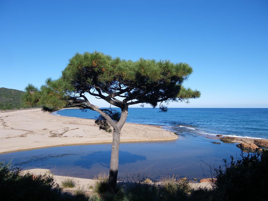 Domaine De La Testa Sainte-Lucie de Porto-Vecchio Dış mekan fotoğraf